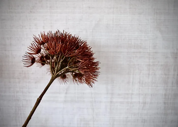 Апартаменты Haus Am Lift - Top3 - Summercard Included - Ski-in Ski-out - 6p *